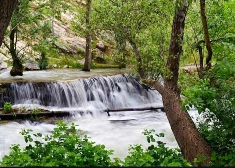 چشمه سرداب رستم آباد( اردل-چهارمحال و بختیاری)